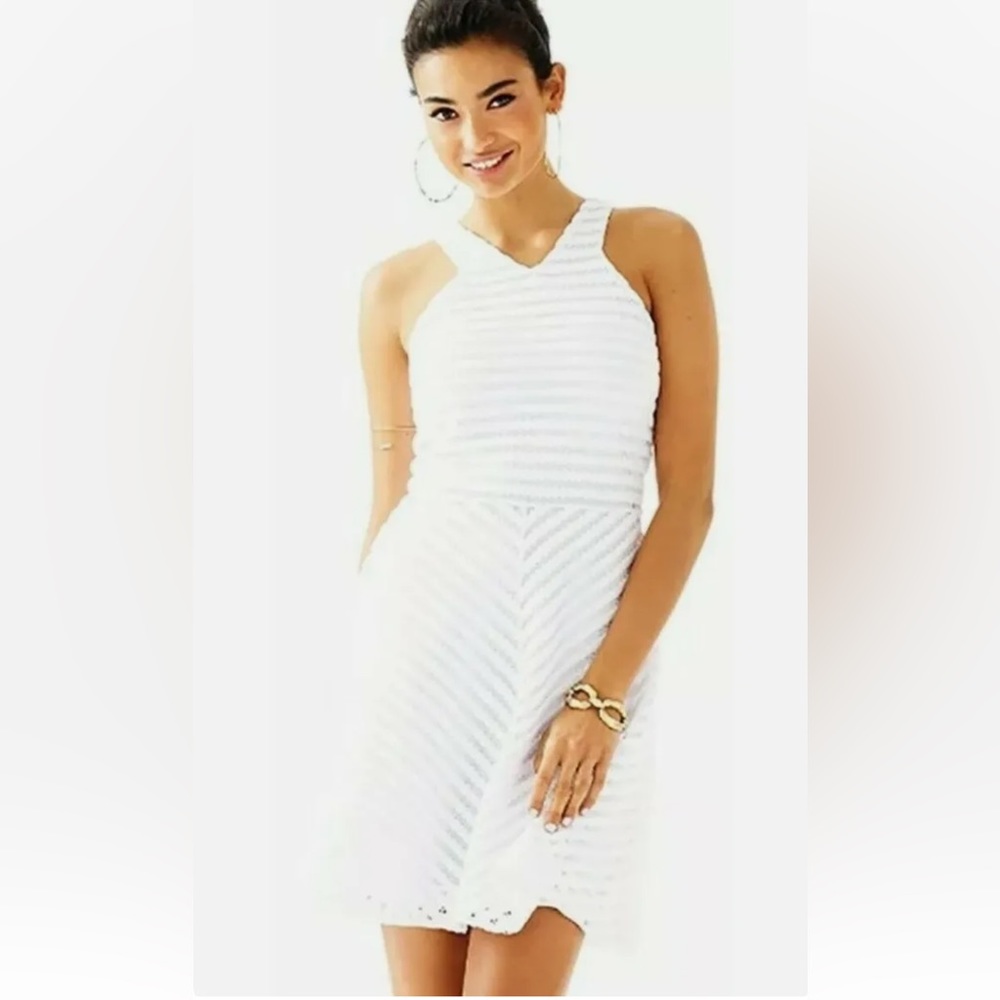 Lilly Pulitzer Megyn Crochet Stripe Knit Lace White Fit & Flare Dress Sm…